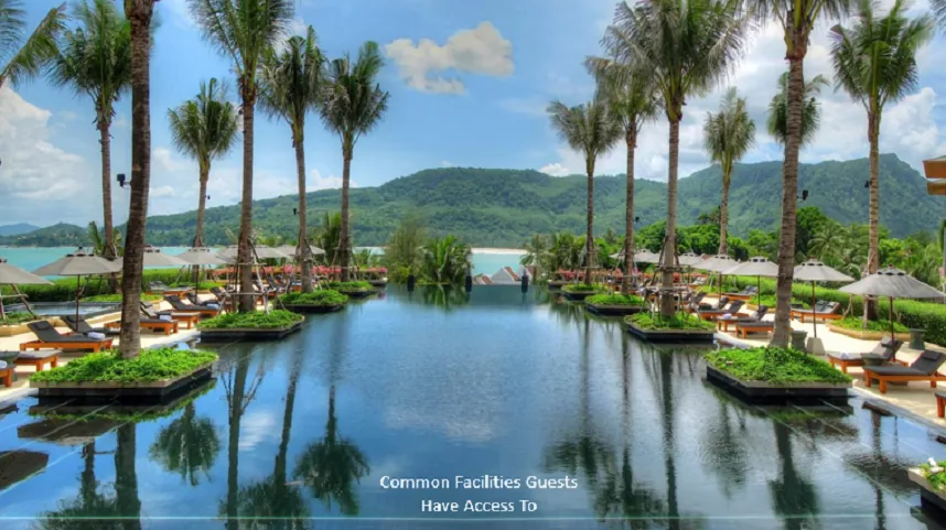 A communal reflecting pool with lily pads, palm trees and the sea beyond; a caption in the corner reads Common Facilities Guests Have Access To